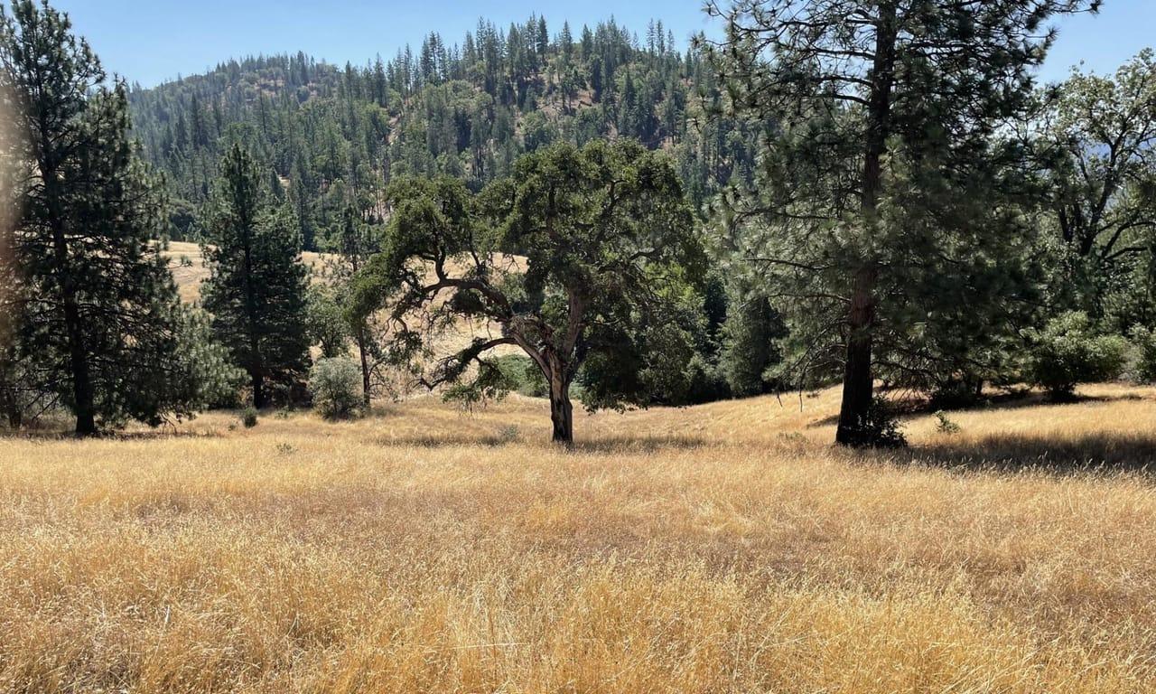 00000 Forrest Road 1N19 Twain Harte CA 95379
