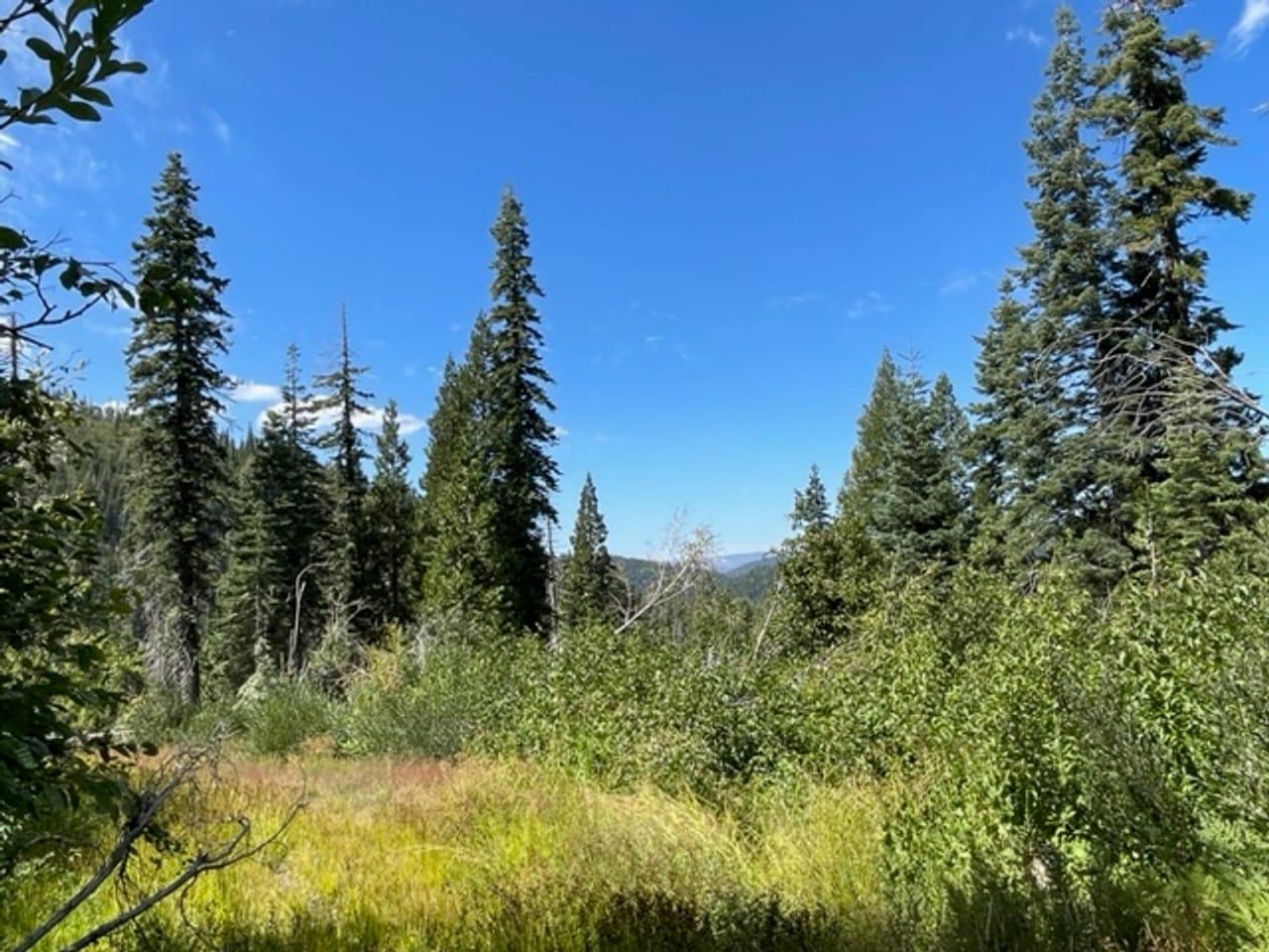 000 Big Creek Rd Bucks Lake CA 95971