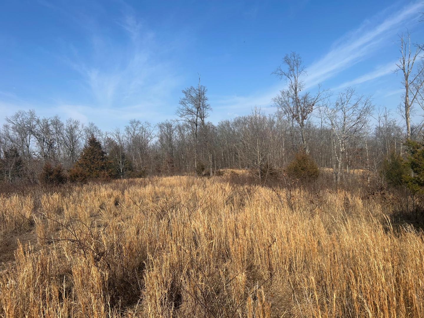 000 E Hwy 32 Salem MO 65440