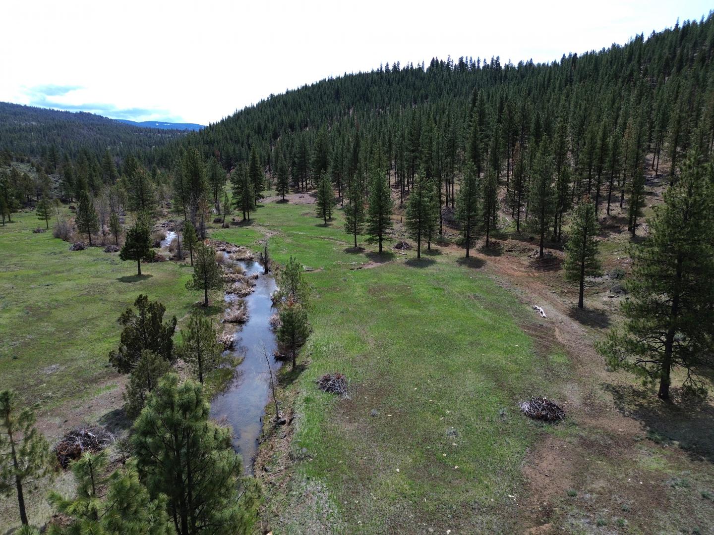 000 Roney Flat Road Adin CA 96006