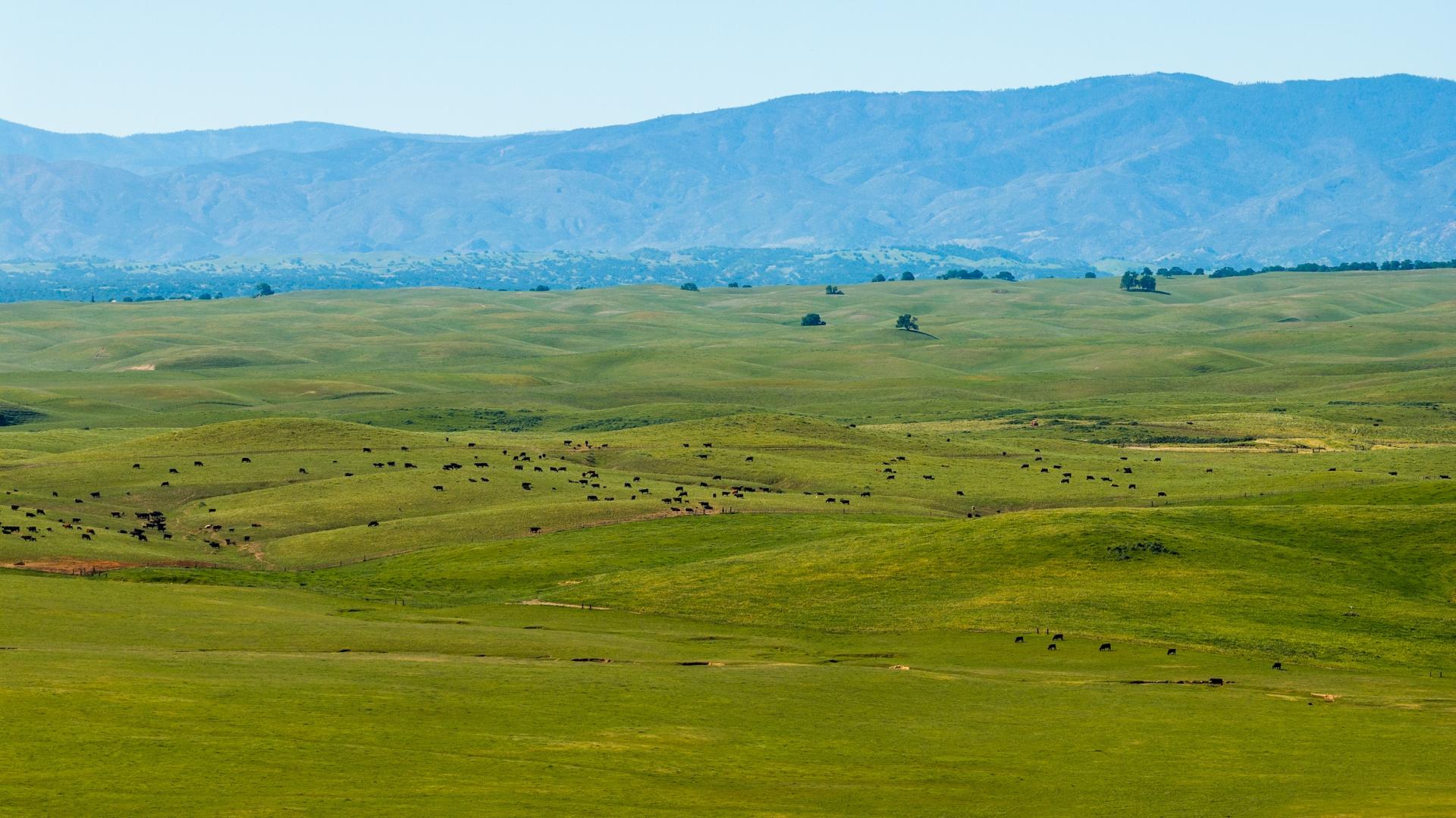 00 Rancho Tehama Road Red Bluff CA 96021