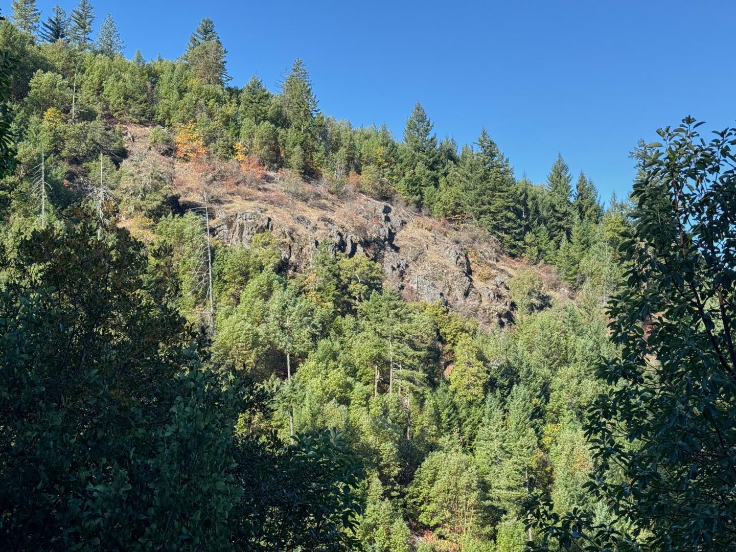 0 Birdseye Creek Road TL2500 Rogue River OR 97537