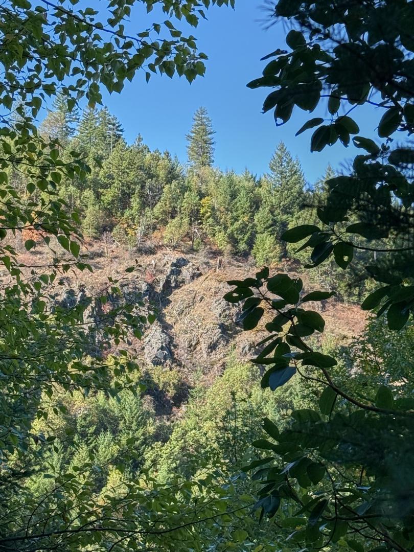 0 Birdseye Creek Road TL2500 Rogue River OR 97537 Picture 5.
