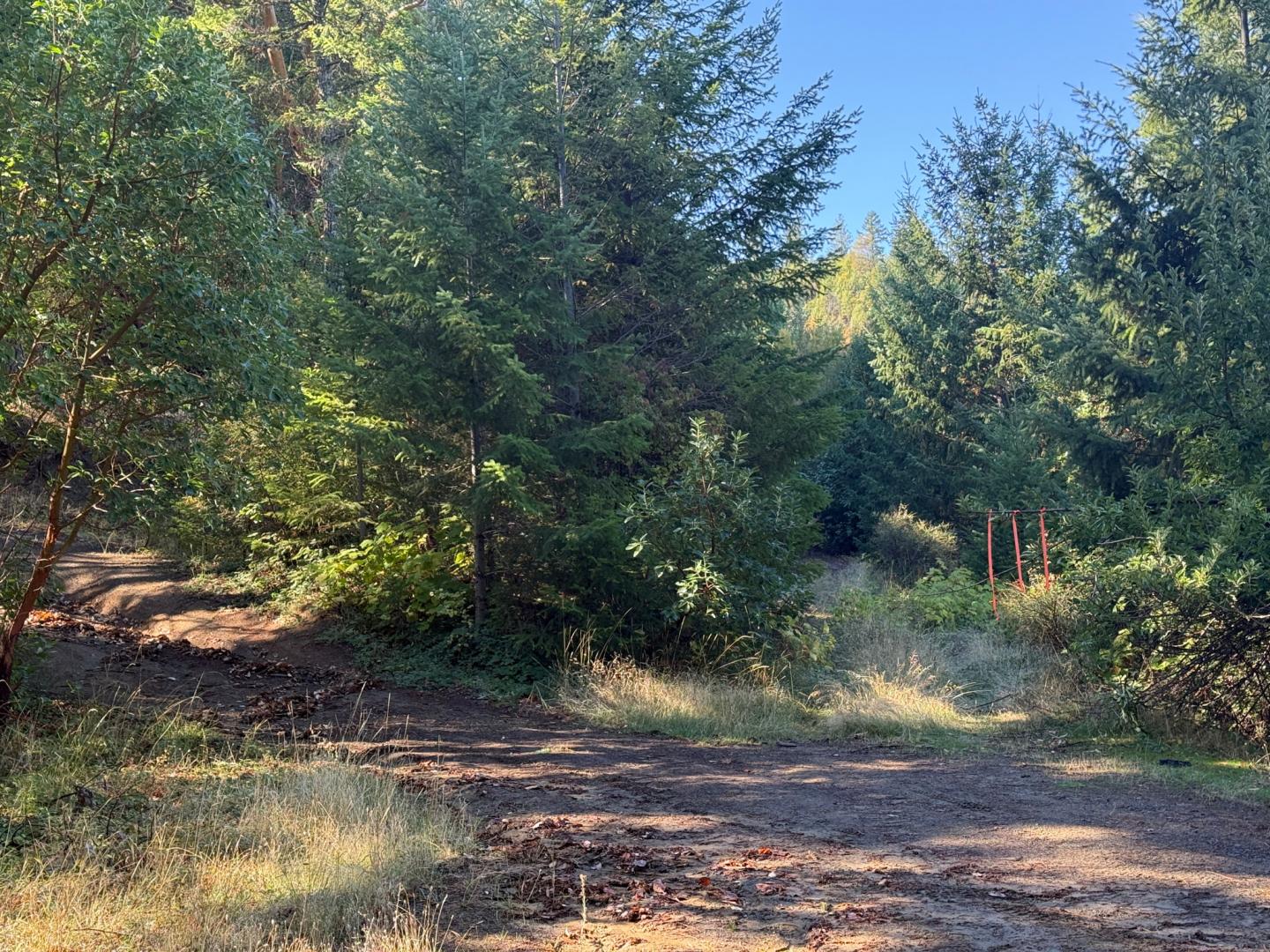 0 Birdseye Creek Road TL2500 Rogue River OR 97537 Picture 11.