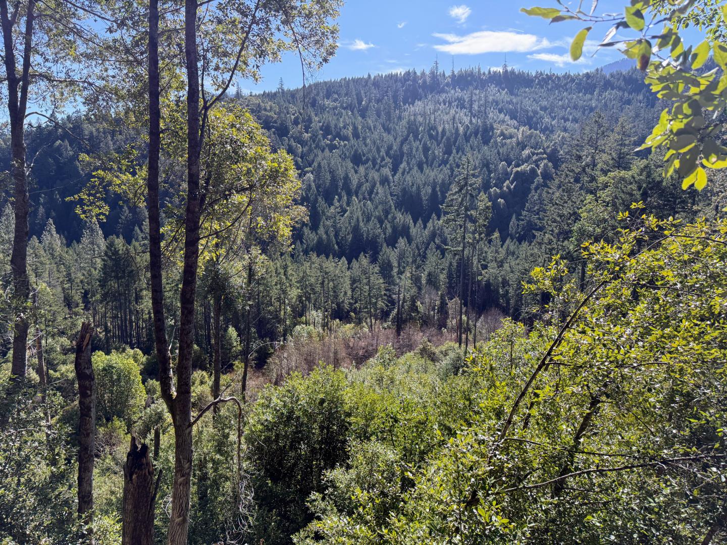 0 Cedar Flat Road Williams  97544