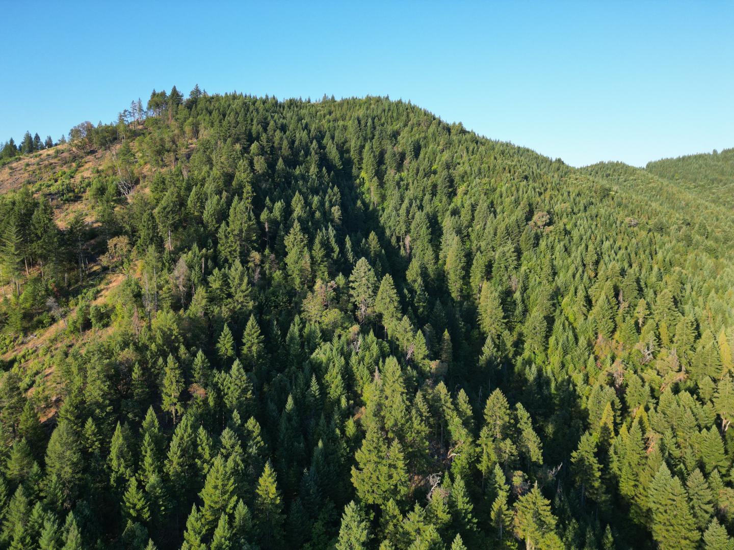 0 East Evans Creek Rd Central Point OR 97537