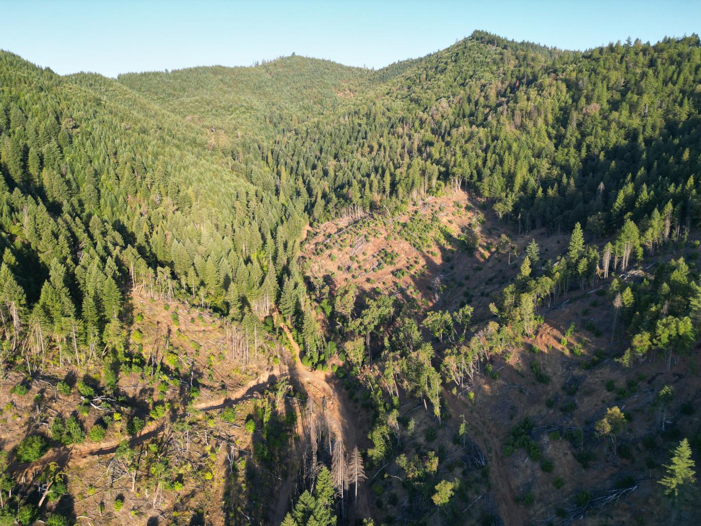 0 East Evans Creek Rd Central Point OR 97537 Picture 12.