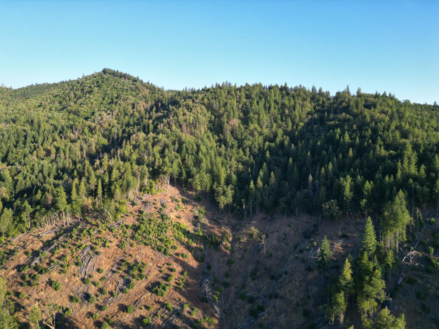 0 East Evans Creek Rd Central Point OR 97537 Picture 24.