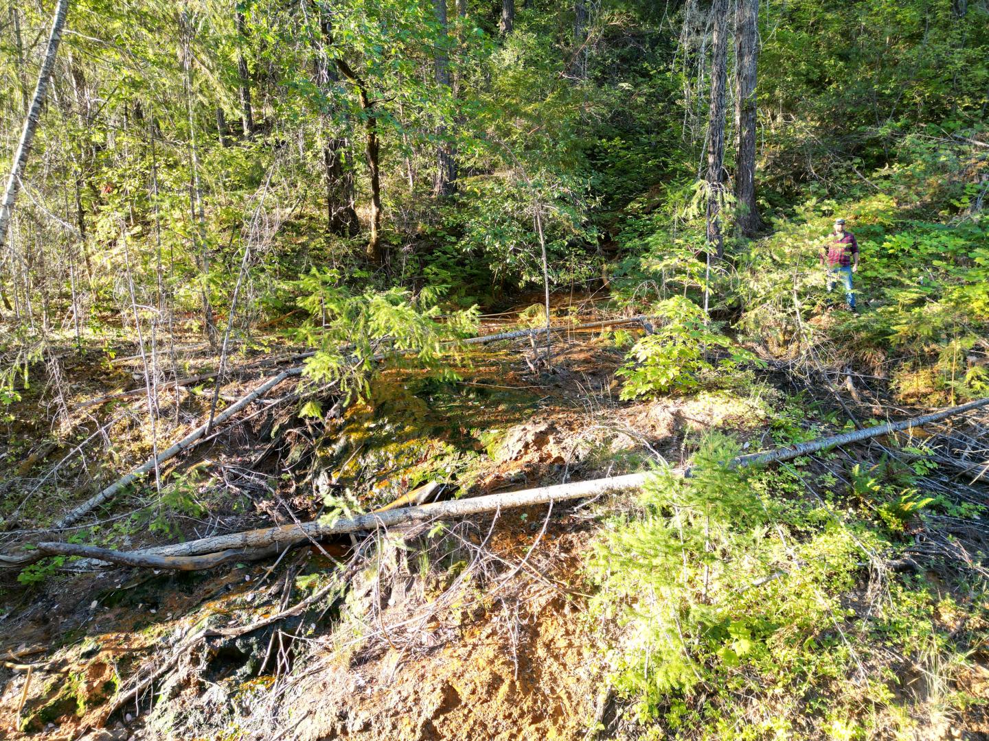 0 East Evans Creek Rd Central Point OR 97537 Picture 30.