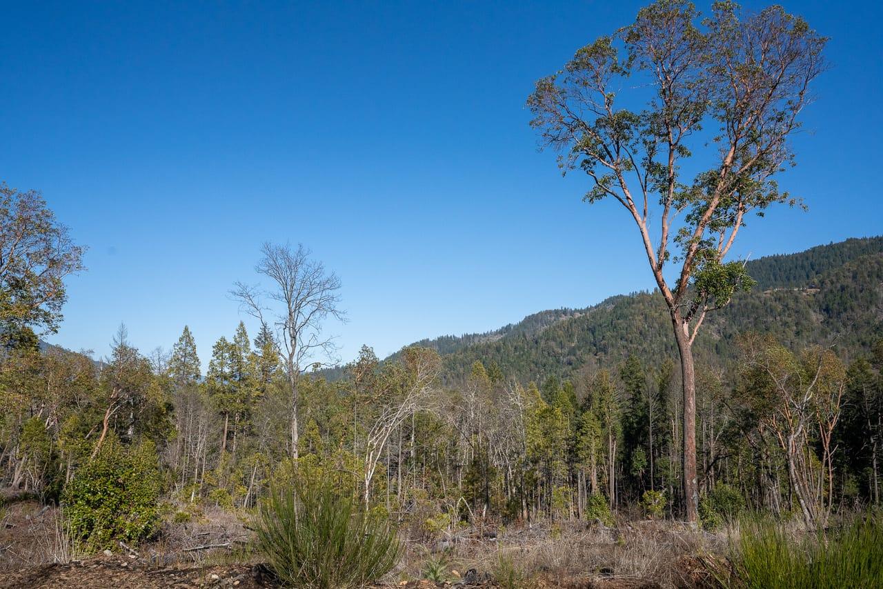 0 Savage Creek Rd Grants Pass OR 97527