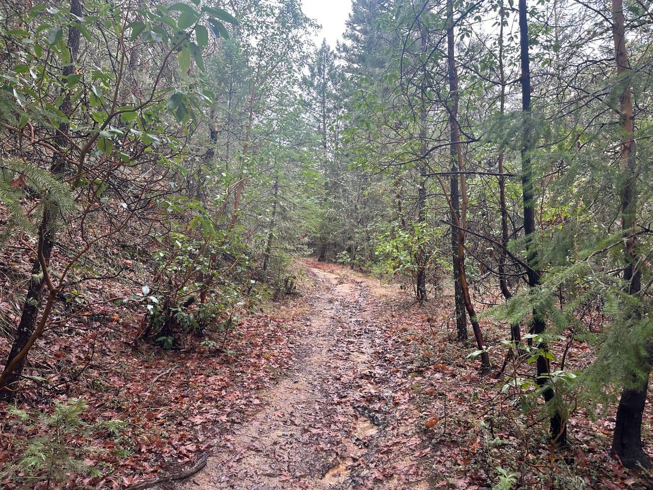 0 Stringer Gap TL100 Grants Pass OR 97527