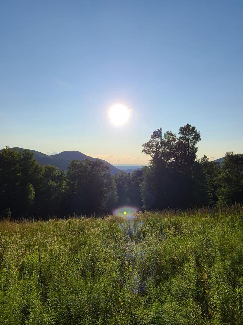 1000 Bear Mountain Camp Rd Rupert  05776