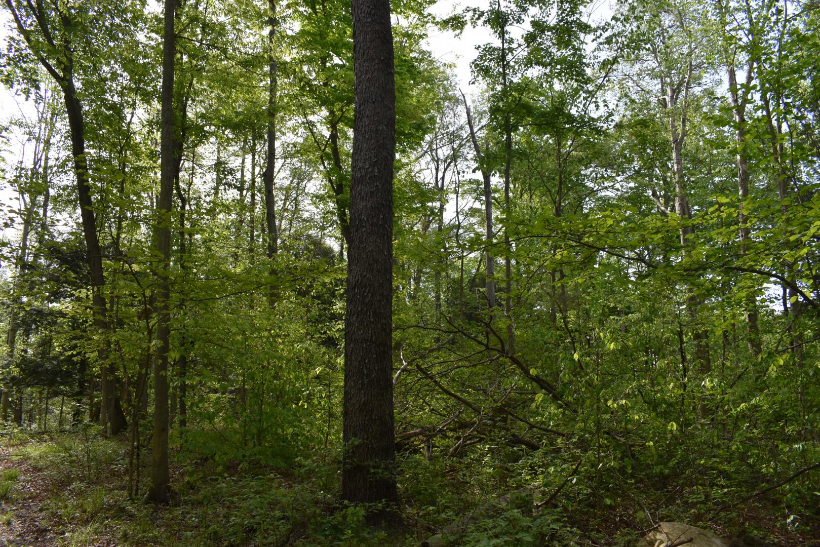 10133 Edwards Corners Road Perrysburg NY 14129 Picture 12.