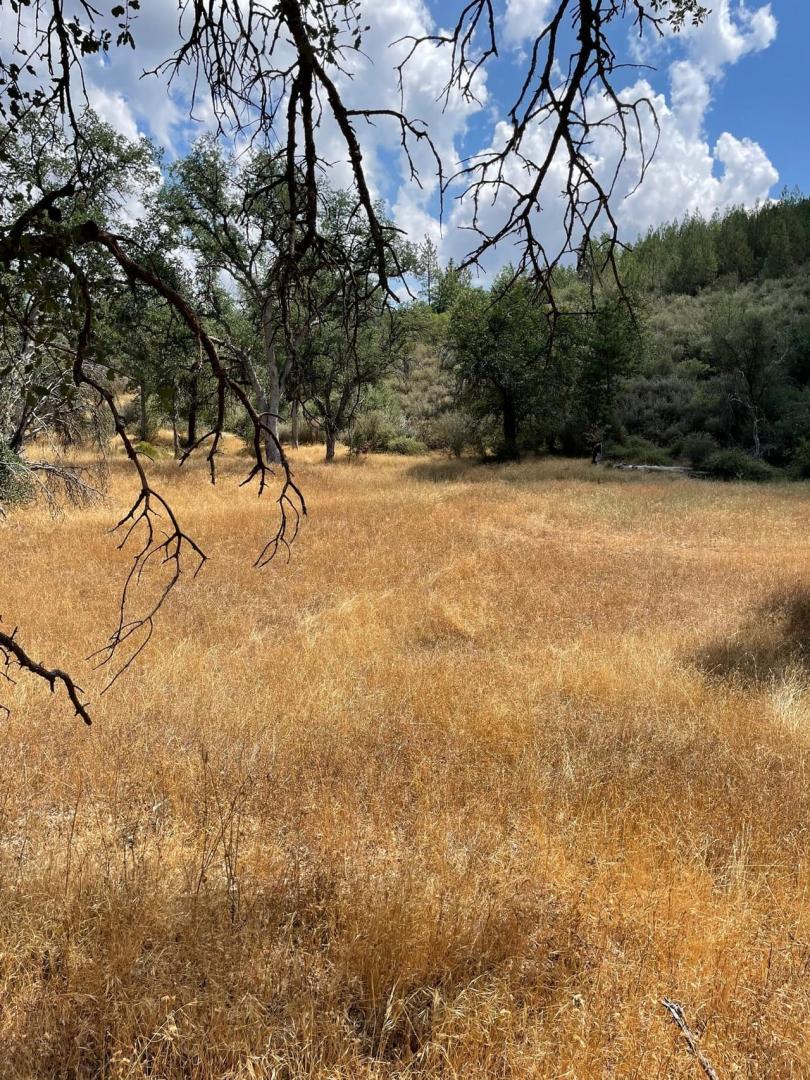 10217 Holtzel Rd Coulterville CA 95311
