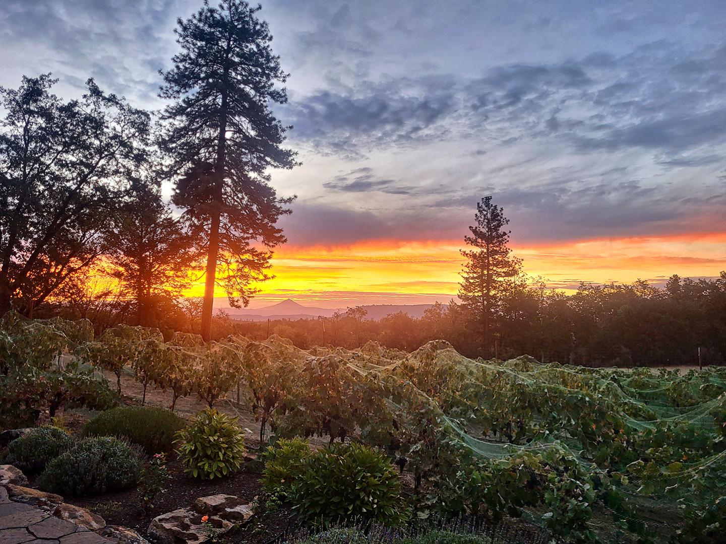 1052 Holcomb Springs Road Gold Hill OR 97525