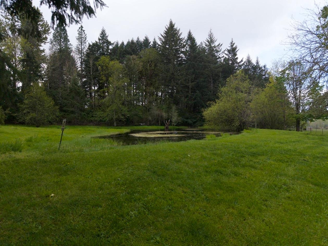110 NE Thousand Oak Drive Corvallis OR 97330 Picture 9.