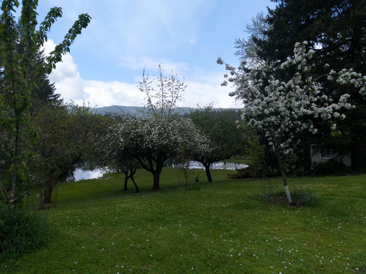 110 NE Thousand Oak Drive Corvallis OR 97330 Picture 10.