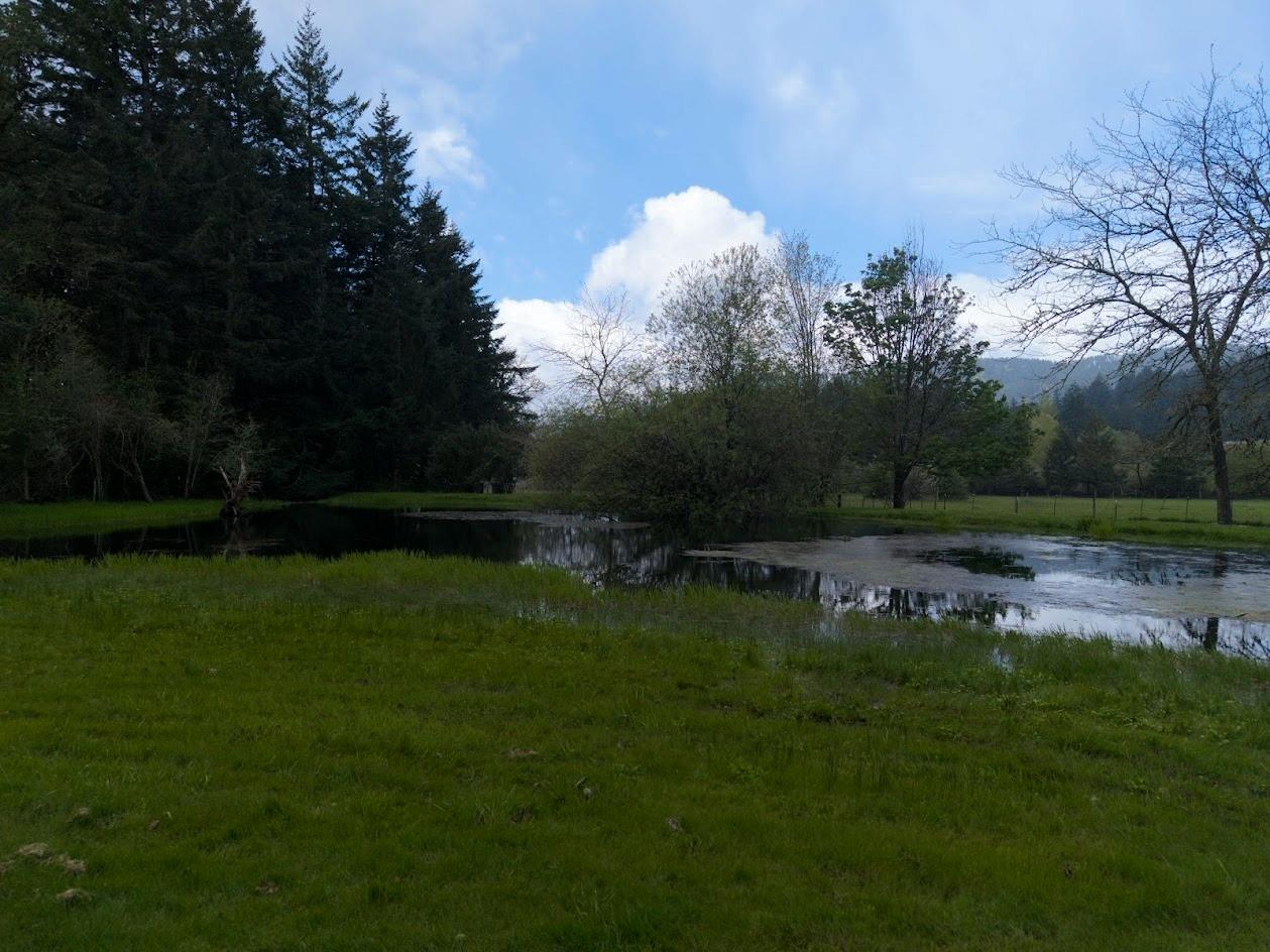110 NE Thousand Oak Drive Corvallis OR 97330 Picture 11.