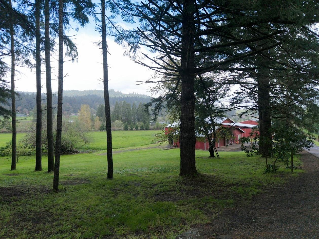 110 NE Thousand Oak Drive Corvallis OR 97330 Picture 19.