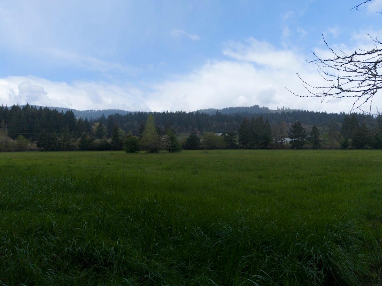 110 NE Thousand Oak Drive Corvallis OR 97330 Picture 48.