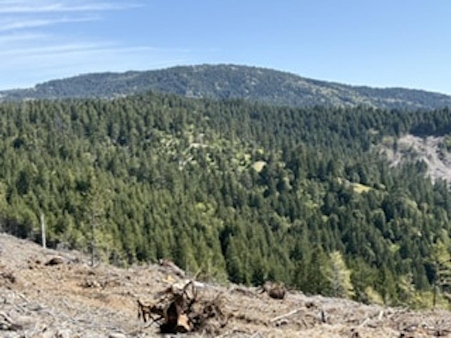 12350 Forest Service Rt 1 Road Kneeland CA 95549