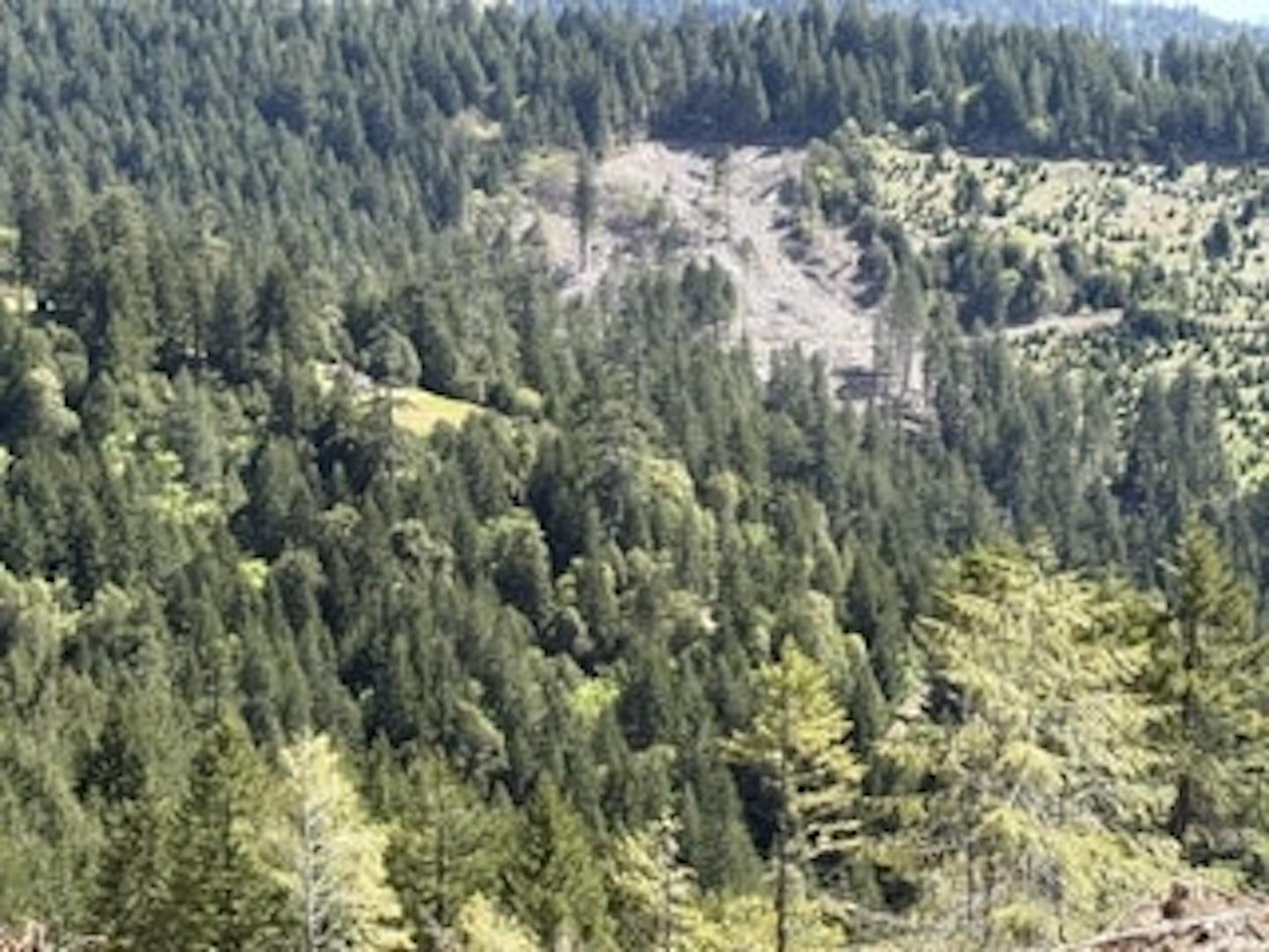 12350 Forest Service Rt 1 Road Kneeland CA 95549 Picture 2.