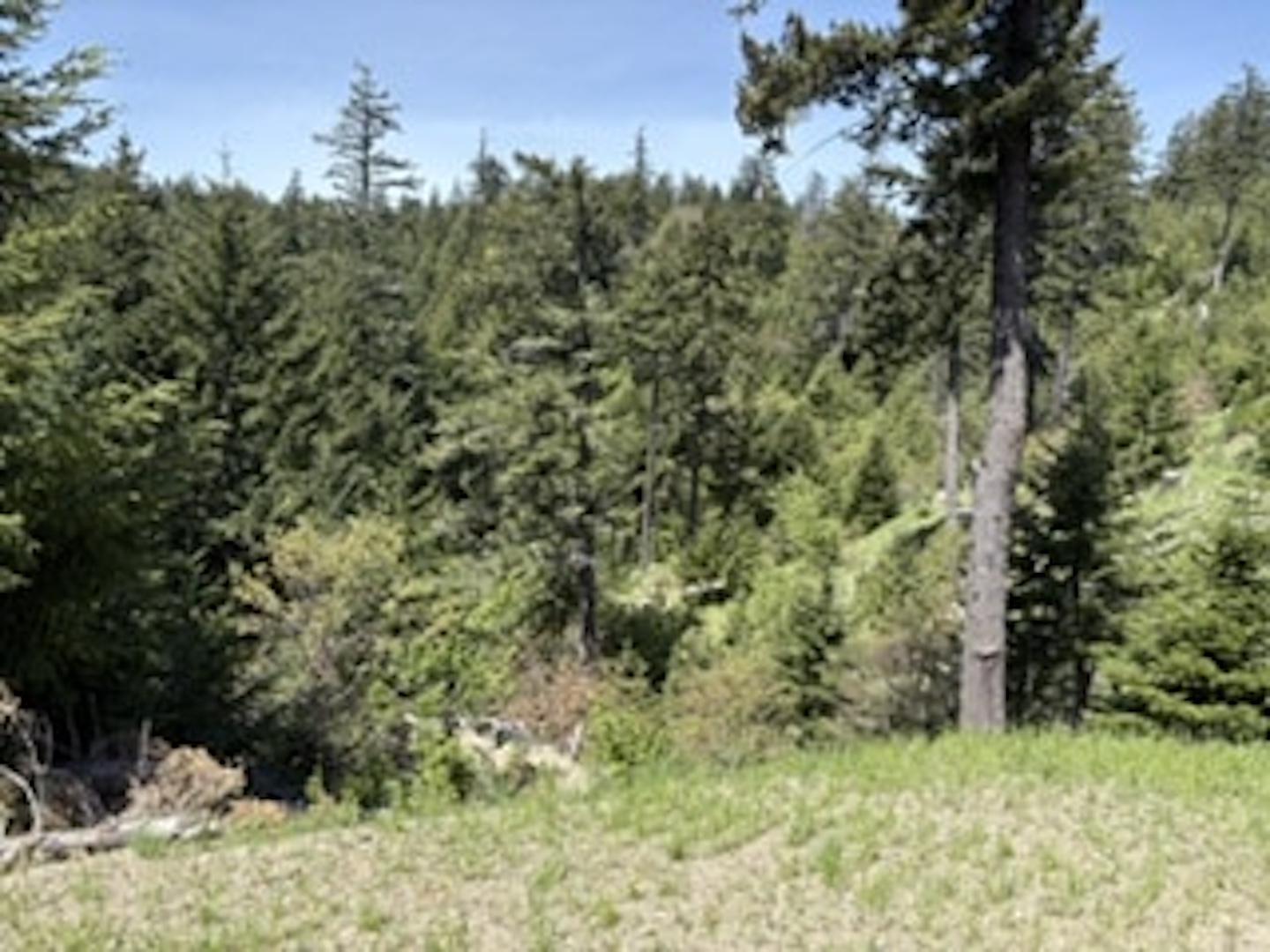 12350 Forest Service Rt 1 Road Kneeland CA 95549 Picture 5.