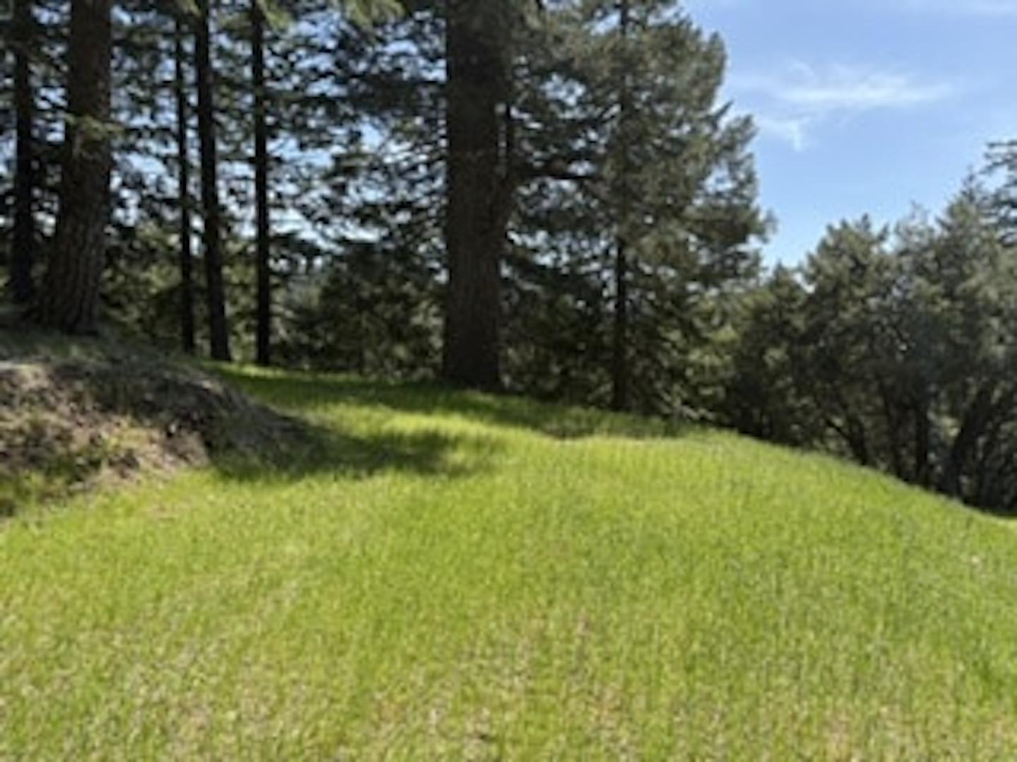 12350 Forest Service Rt 1 Road Kneeland CA 95549 Picture 7.