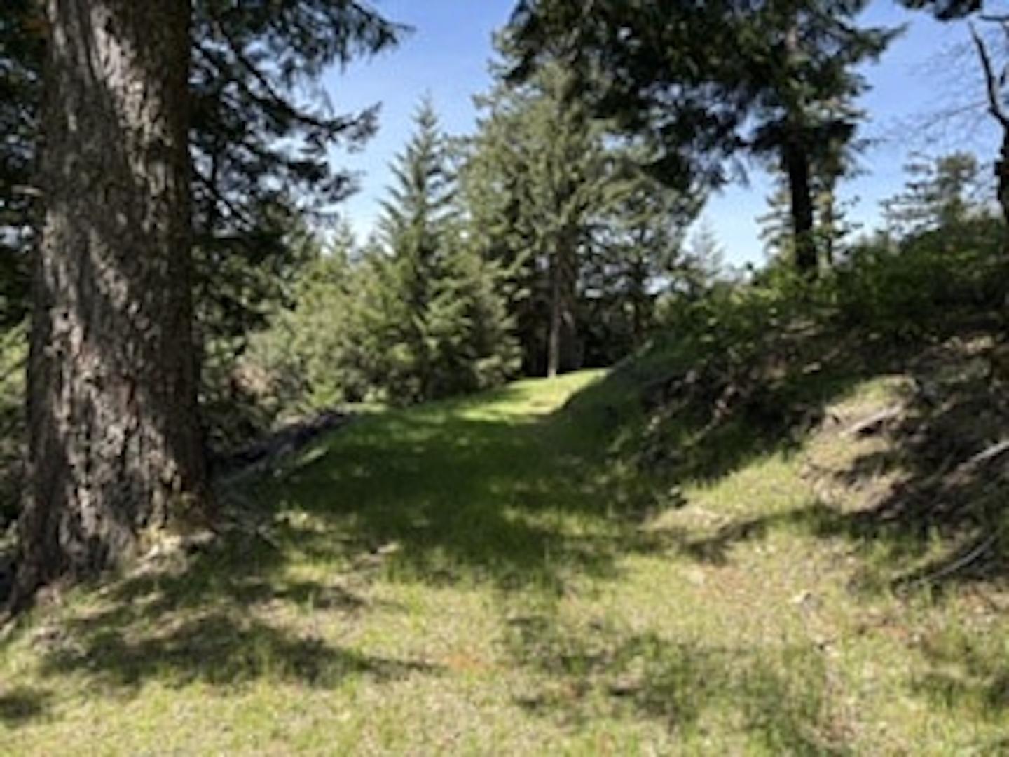 12350 Forest Service Rt 1 Road Kneeland CA 95549 Picture 8.