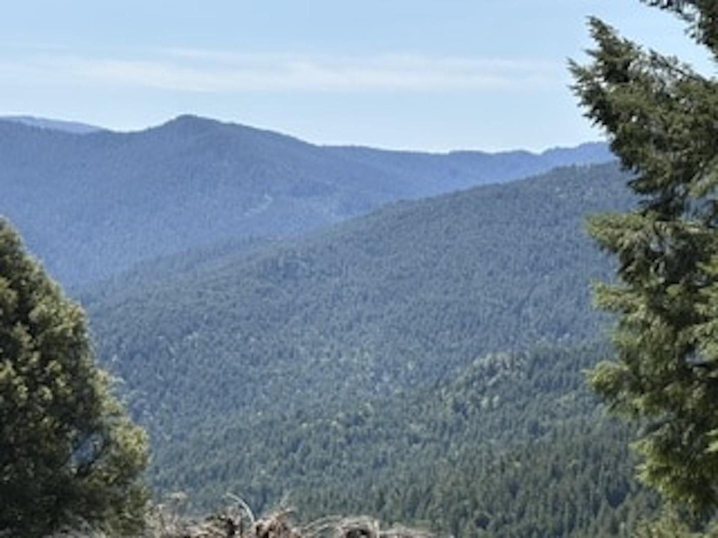 12350 Forest Service Rt 1 Road Kneeland CA 95549 Picture 9.