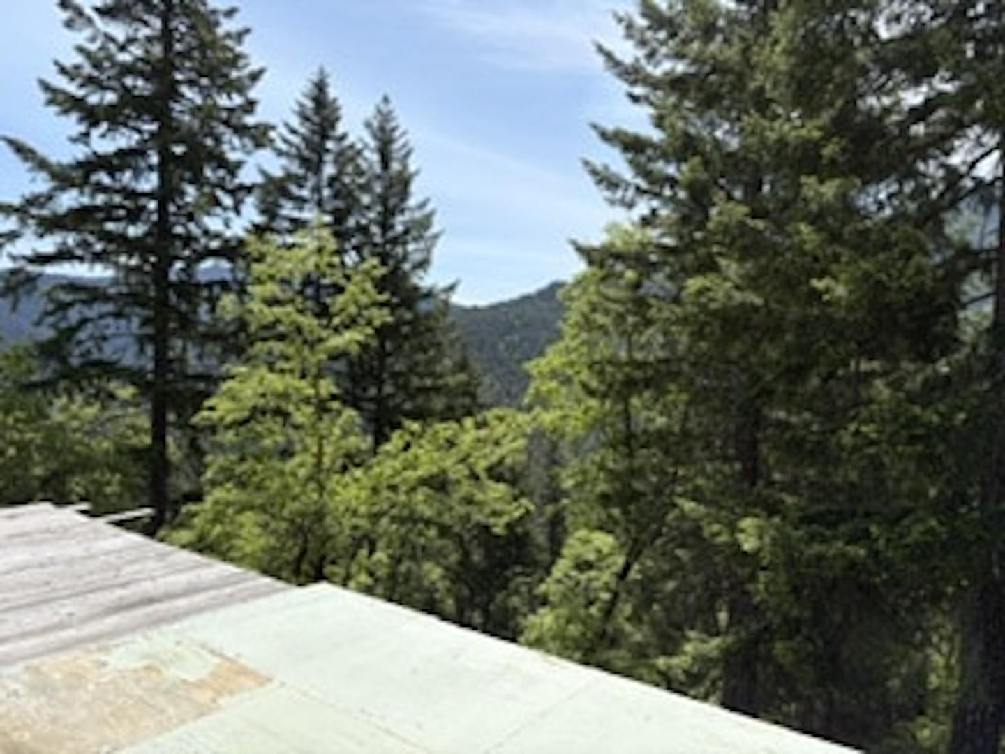12350 Forest Service Rt 1 Road Kneeland CA 95549 Picture 15.