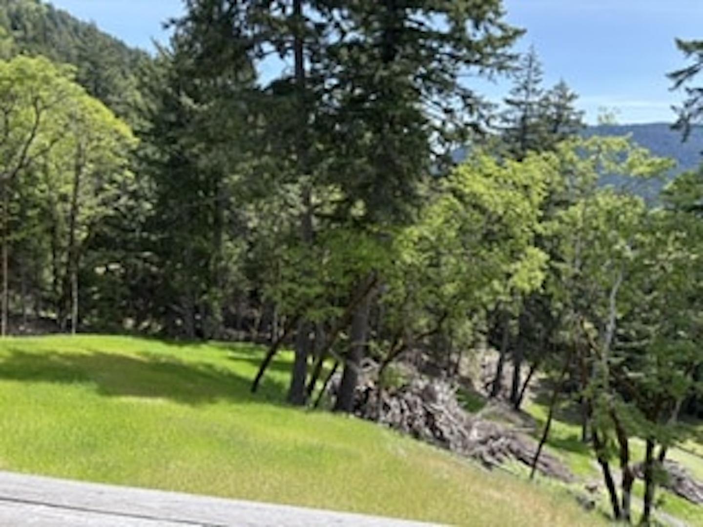 12350 Forest Service Rt 1 Road Kneeland CA 95549 Picture 18.