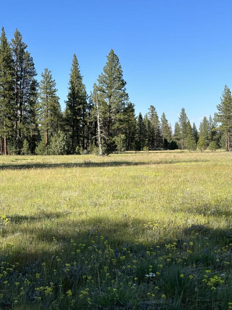 123 Main Street Chiloquin OR 97624