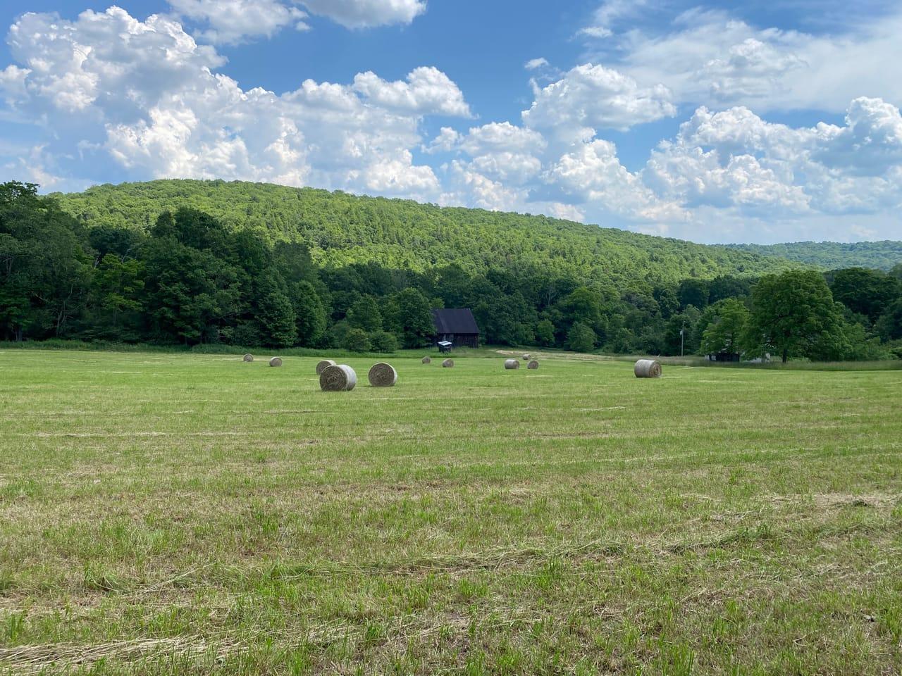 1250 Piney Run Salisbury  15558