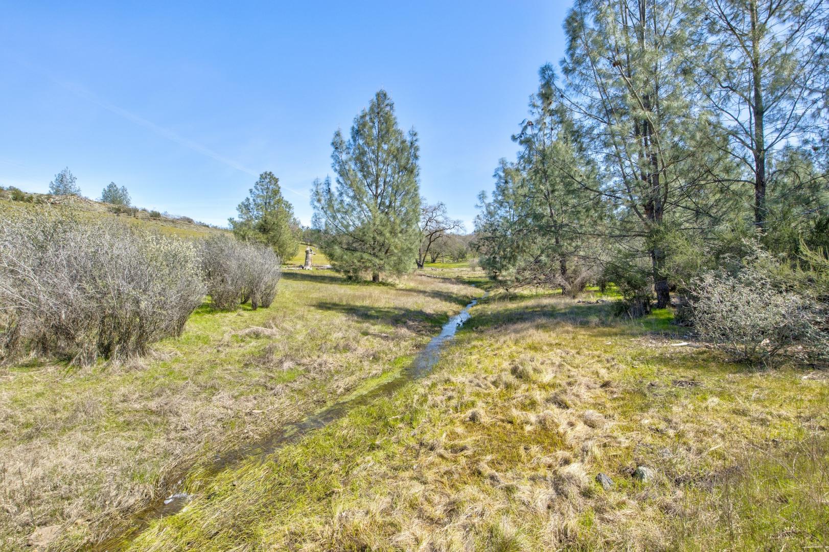 13012 Highway 124 Ione CA 95640