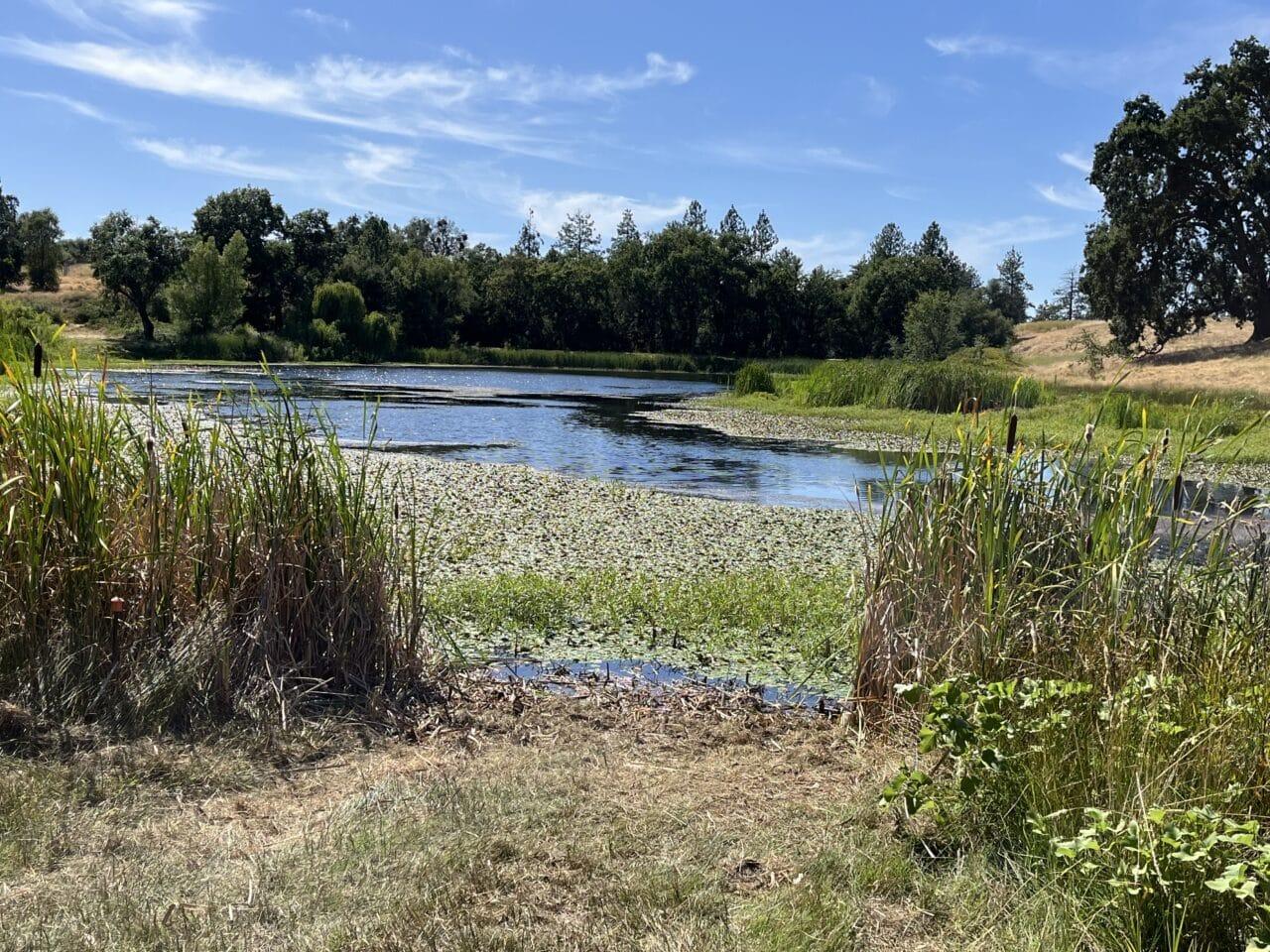 13555 Oakstream Rd Plymouth CA 95669