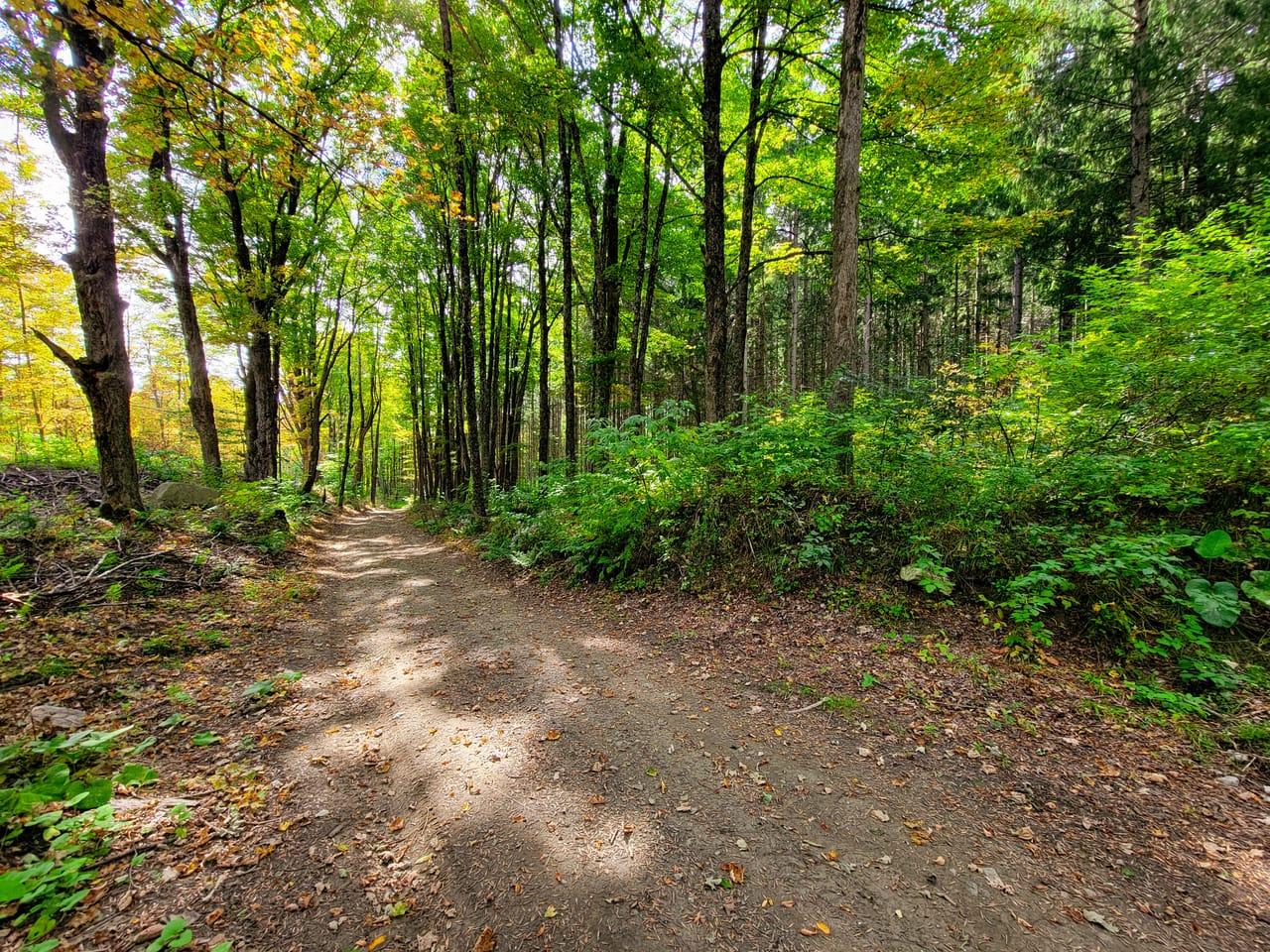 1355 Poor Farm Rd Washington VT 05675