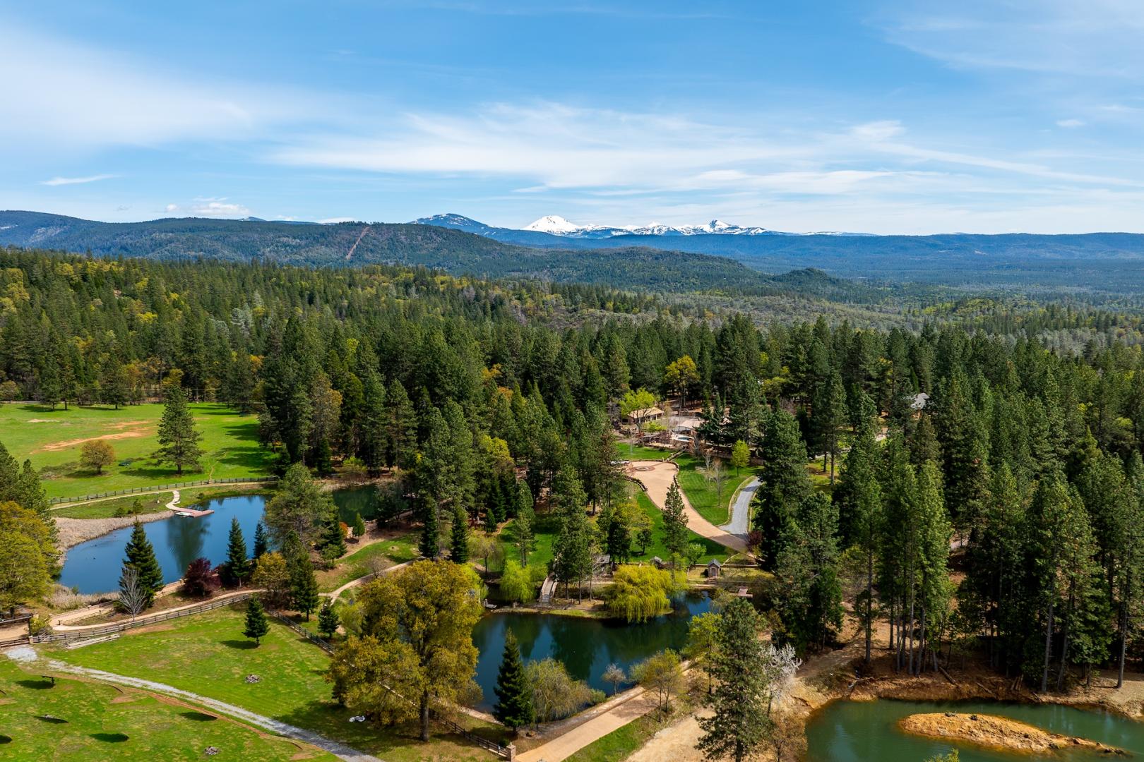 14388 Fern Road Whitmore CA 96096