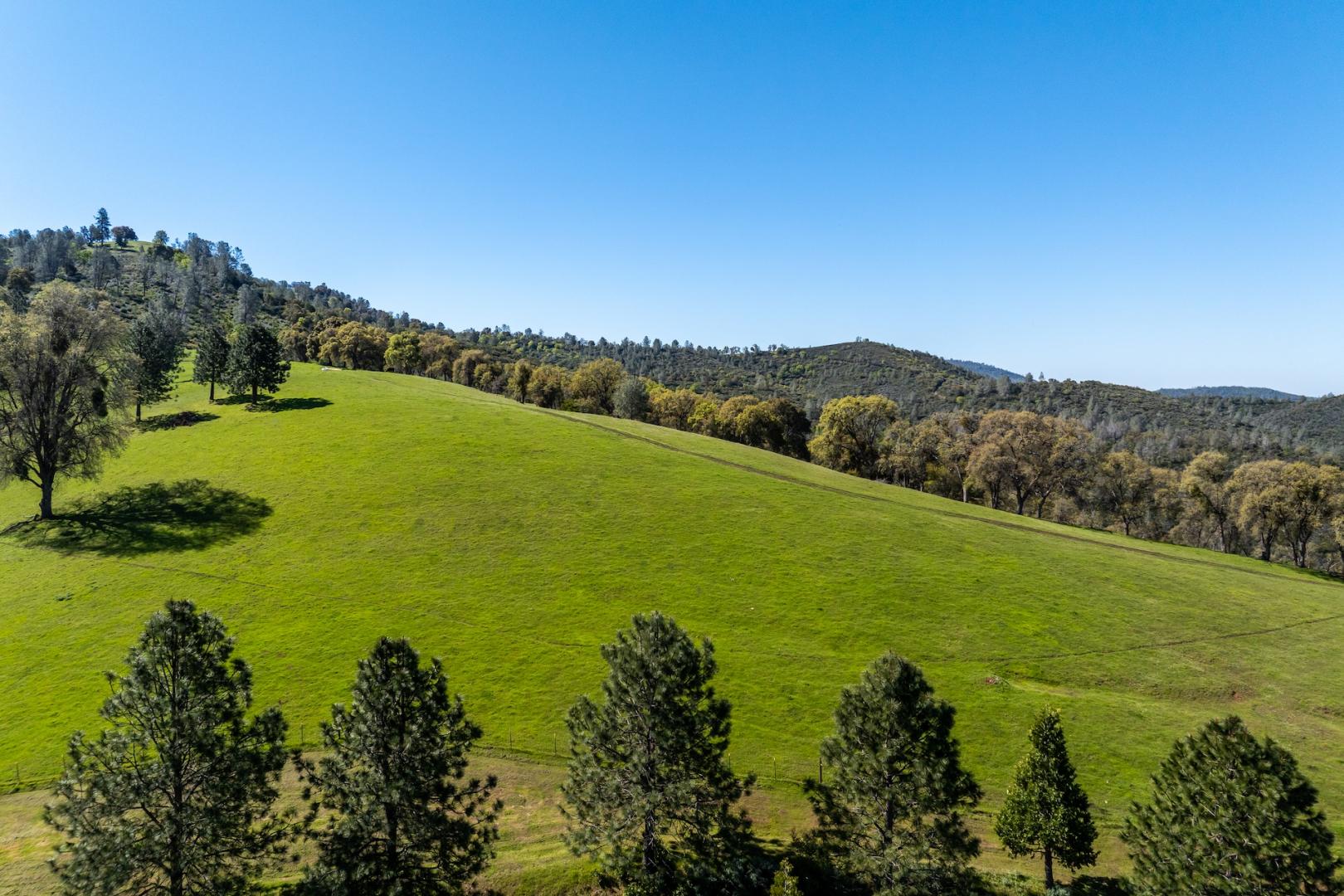 16554 Corcoran Gray Road Groveland CA 95321 Picture 6.