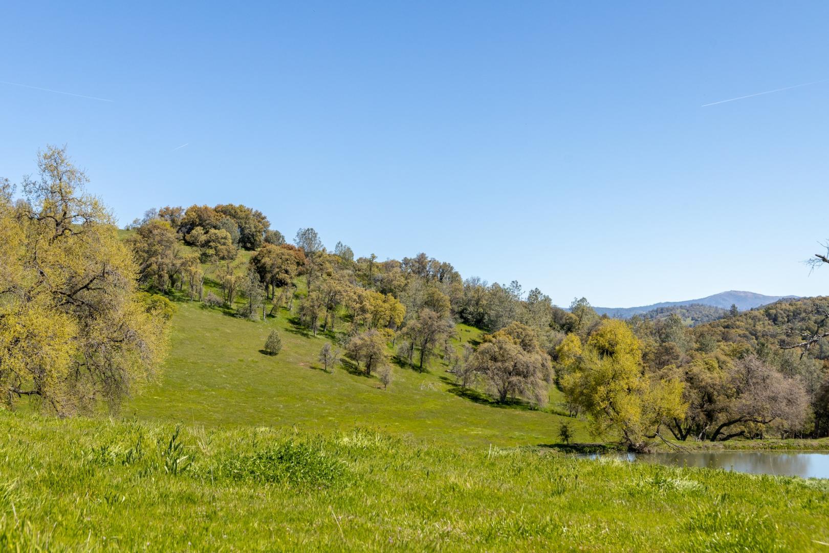 16554 Corcoran Gray Road Groveland CA 95321 Picture 34.