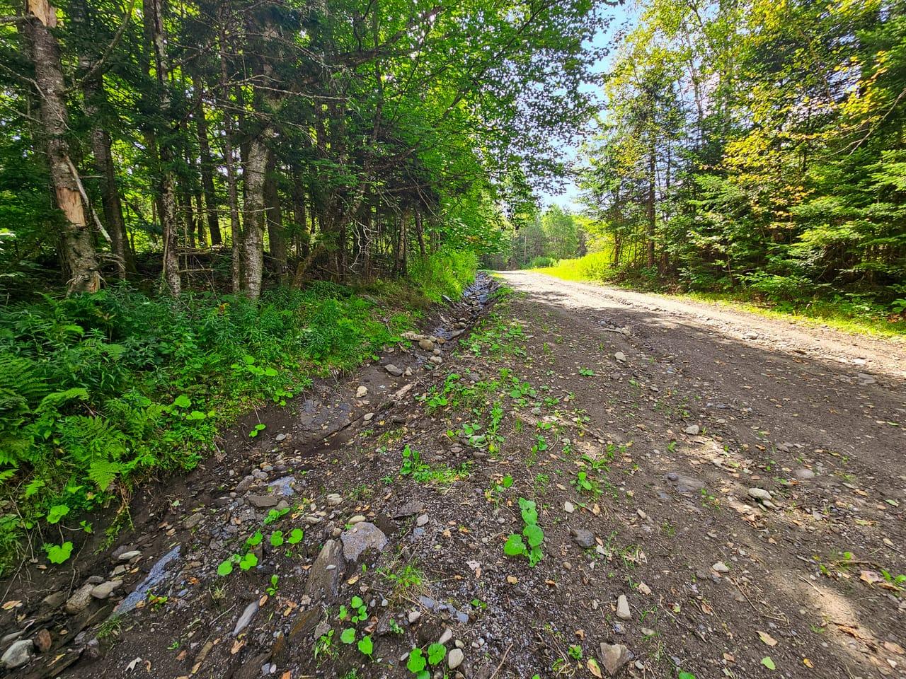 1746 Urban Farm Way Cabot VT 05647