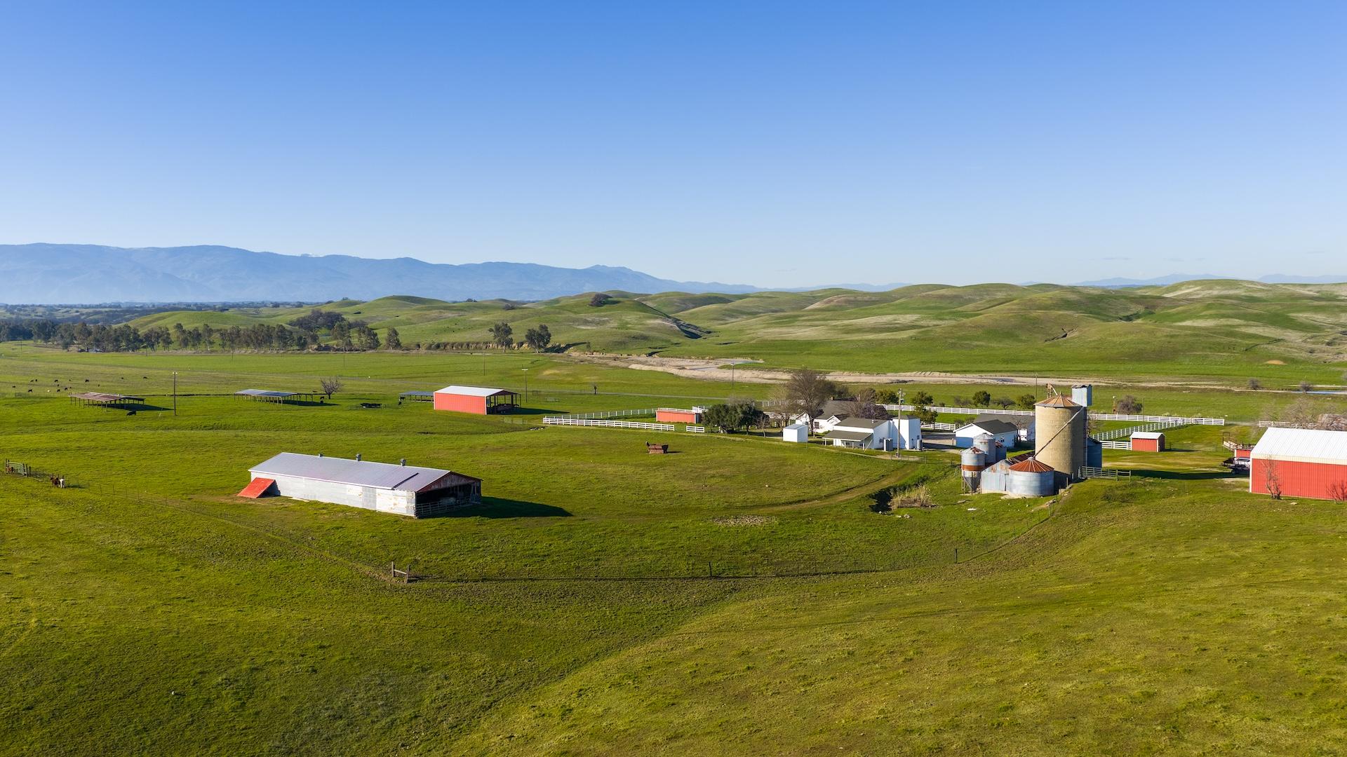 17775 Long Hollow Road Corning CA 96021 Picture 34.