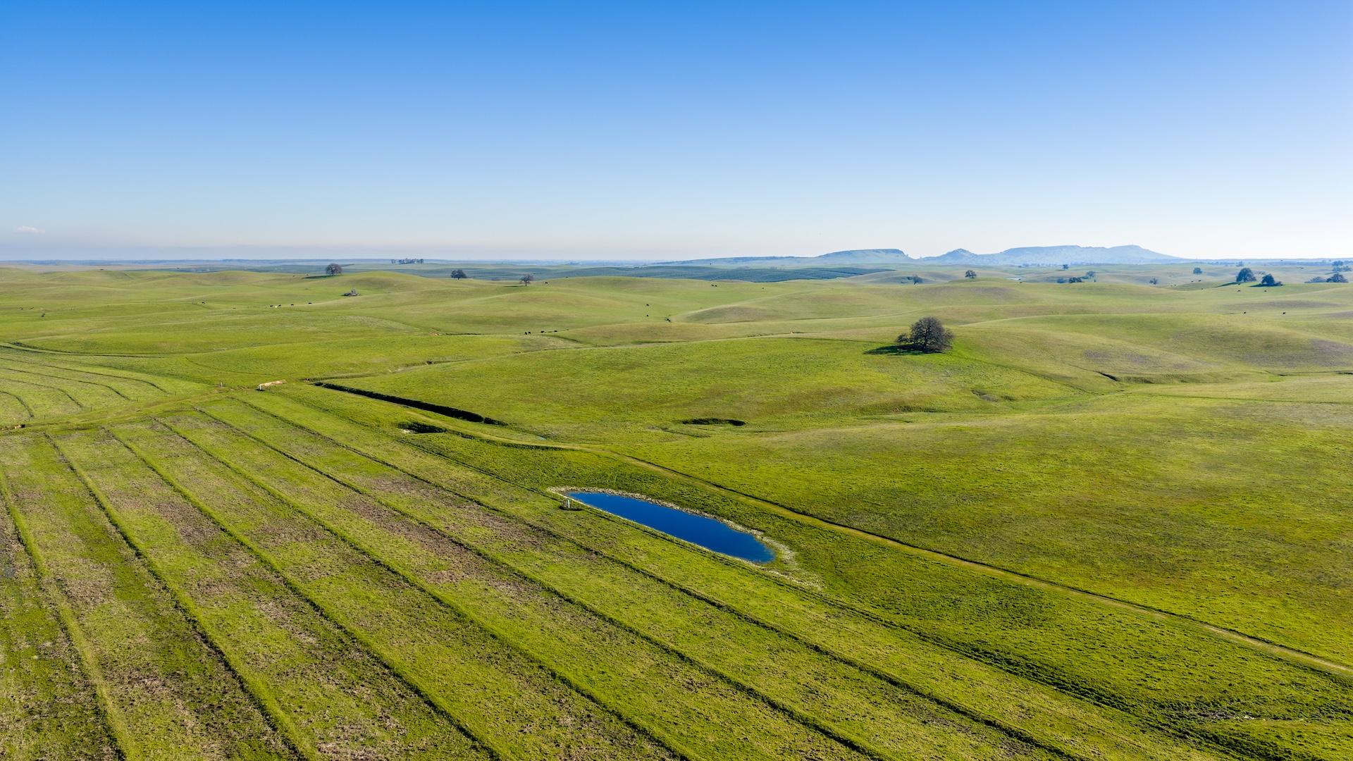 17775 Long Hollow Road Corning CA 96021 Picture 39.