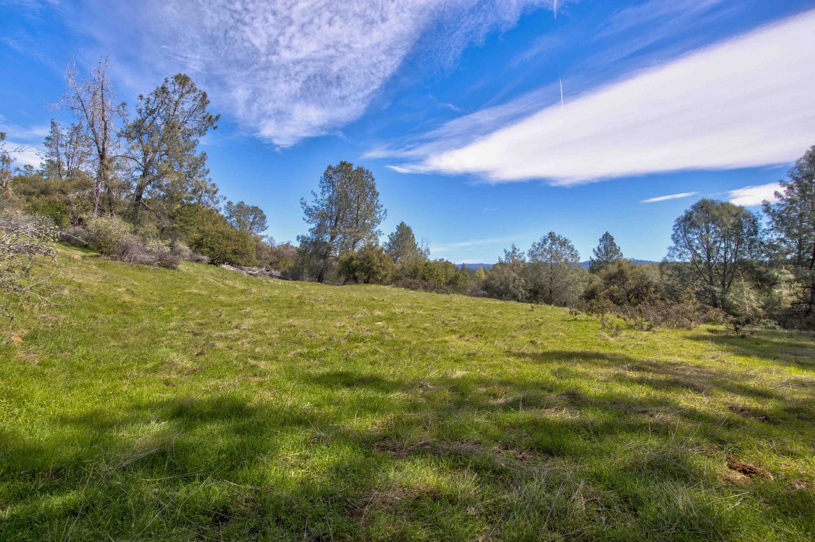 18800 Charleston Road Volcano CA 95689