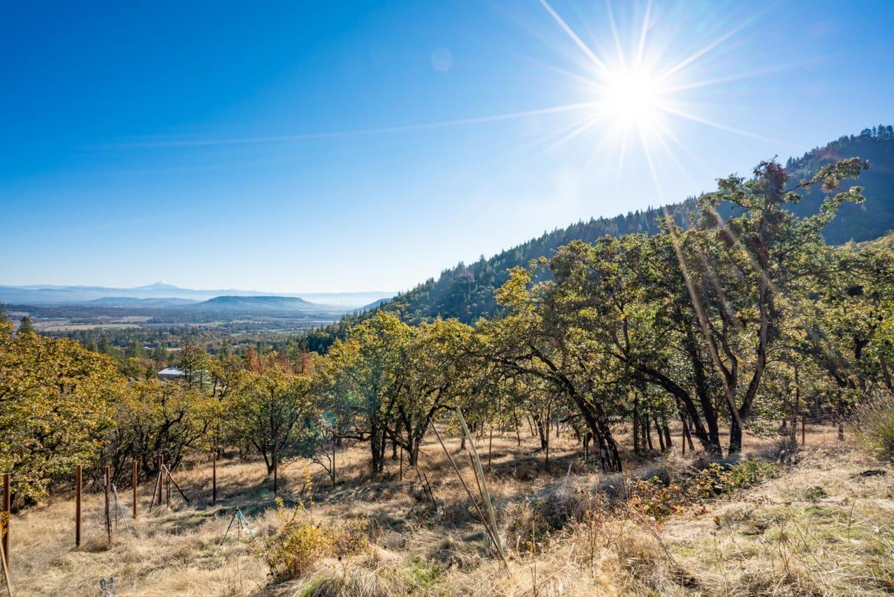1893 Holcomb Springs Road Gold Hill  97525