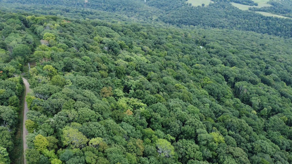 20988 Chimney Field Rd Winslow AR 72959