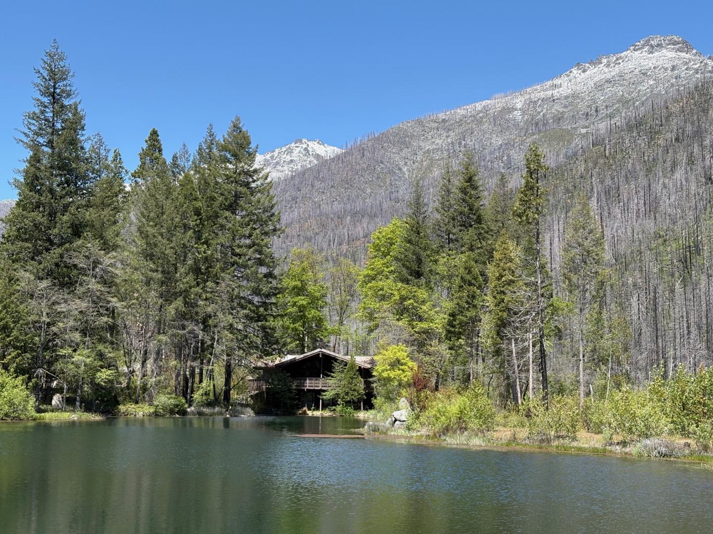 2103 Coffee Creek Rd Coffee Creek CA 96091