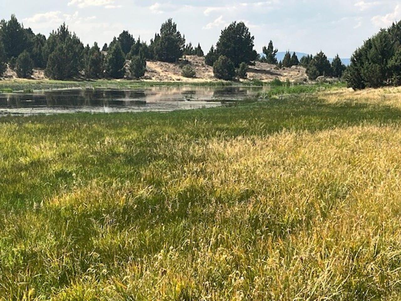 21090 Hwy 26 Mitchell  97750