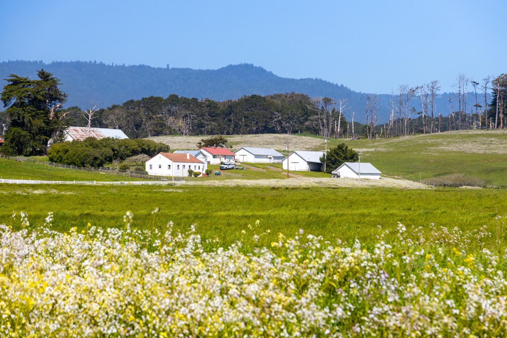 21601 S Highway 1 Point Arena CA 95468