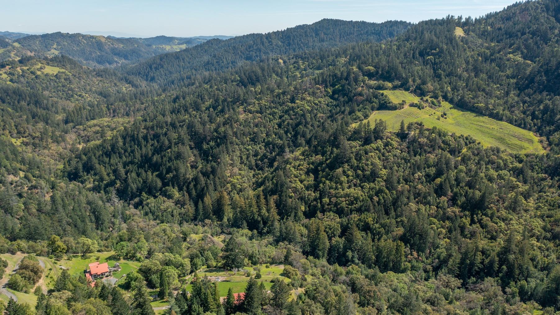 24301 King Ridge Rd. Cazadero CA 95421